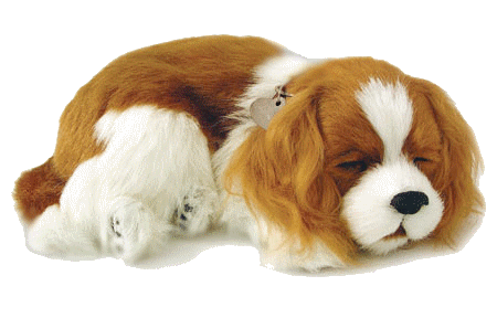 gifs-animados-perros-9840296.gif